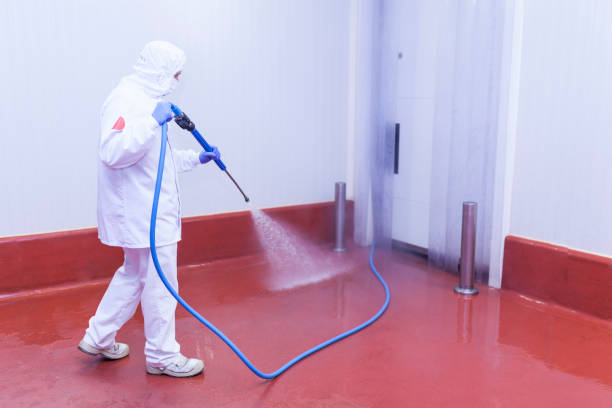 Boat and Dock Cleaning in Tolono, IL